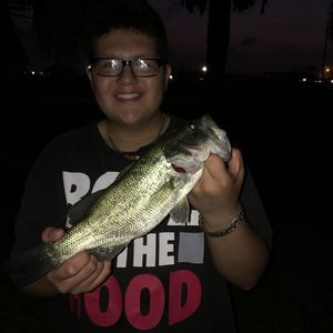 Meet your Posher, Giancarlo